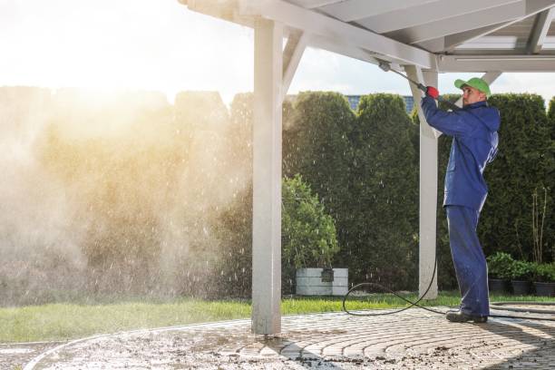 Best Dumpster Area Cleaning  in Cedar Bluff, AL