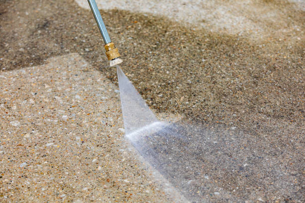 Best Pre-Holiday Cleaning  in Cedar Bluff, AL