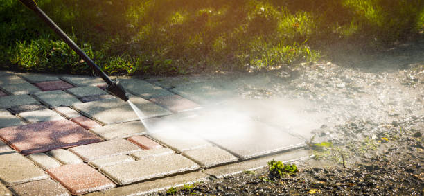 Best Roof Washing  in Cedar Bluff, AL